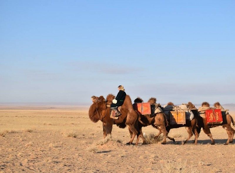 А.Эрдэнэ-Очирын гэгээн дурсгалд зориулсан тэмээн жин тээх аялал боллоо